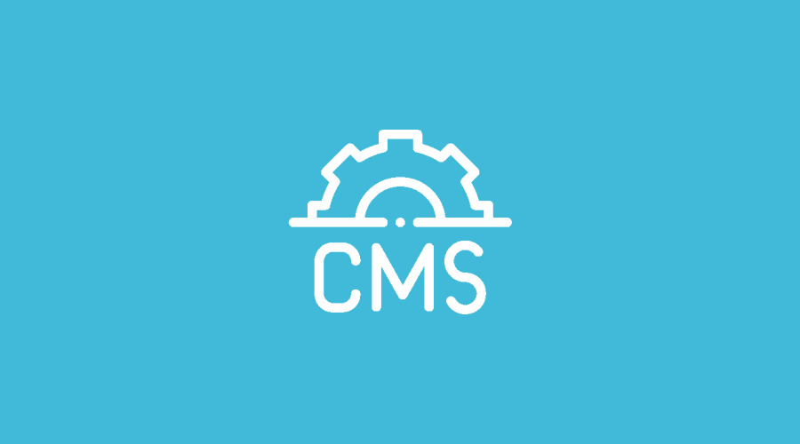 Which is Better for E-Commerce: SaaS or CMS? Let’s Break It Down with Examples
